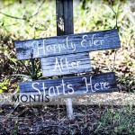 County Charm On A Farm  Tampa Wedding