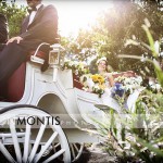 Karnes Stables Rustic Tampa Wedding