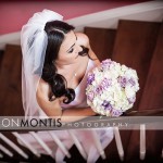 Danielle And Morgan Wedding  Blog