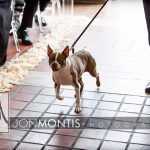 Elyssa And Adam Wedding  BB blog
