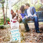 Elyssa And Adam Engagement  Blog