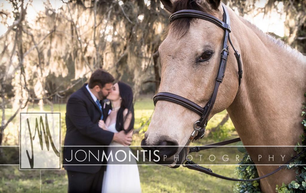 Brooksville Wedding Photographer