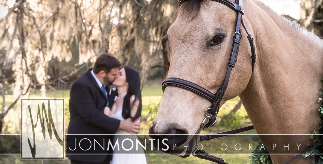 Brooksville Wedding Photographer