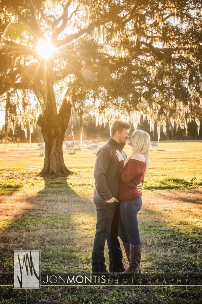 Waller Ranch, Dade City Engagement