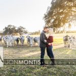 Waller Ranch, Dade City Engagement