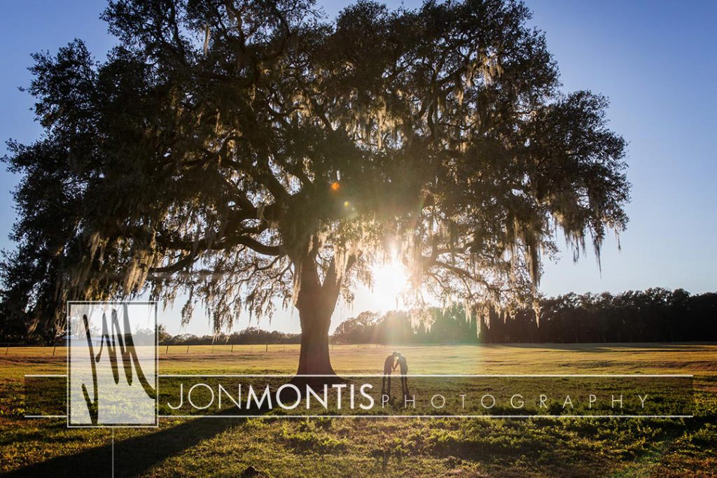 Waller Ranch, Dade City Engagement