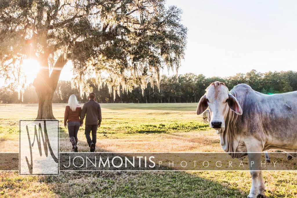 Waller Ranch, Dade City Engagement