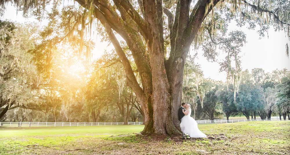 Stonebridge Events Wedding Photography