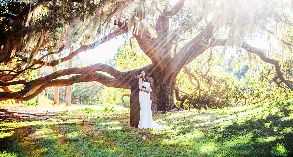 Safety Harbor Resort Wedding Photography