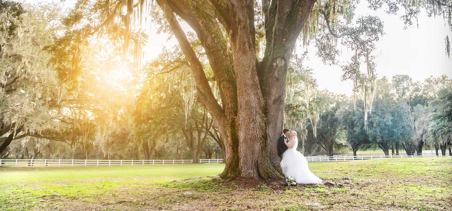 Brooksville Wedding Photographer