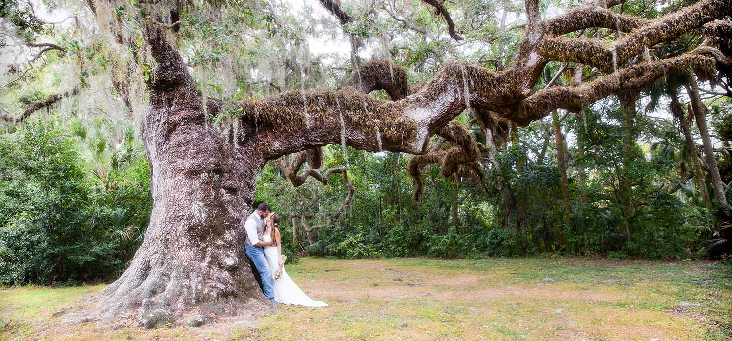 Clearwater Wedding Photographer