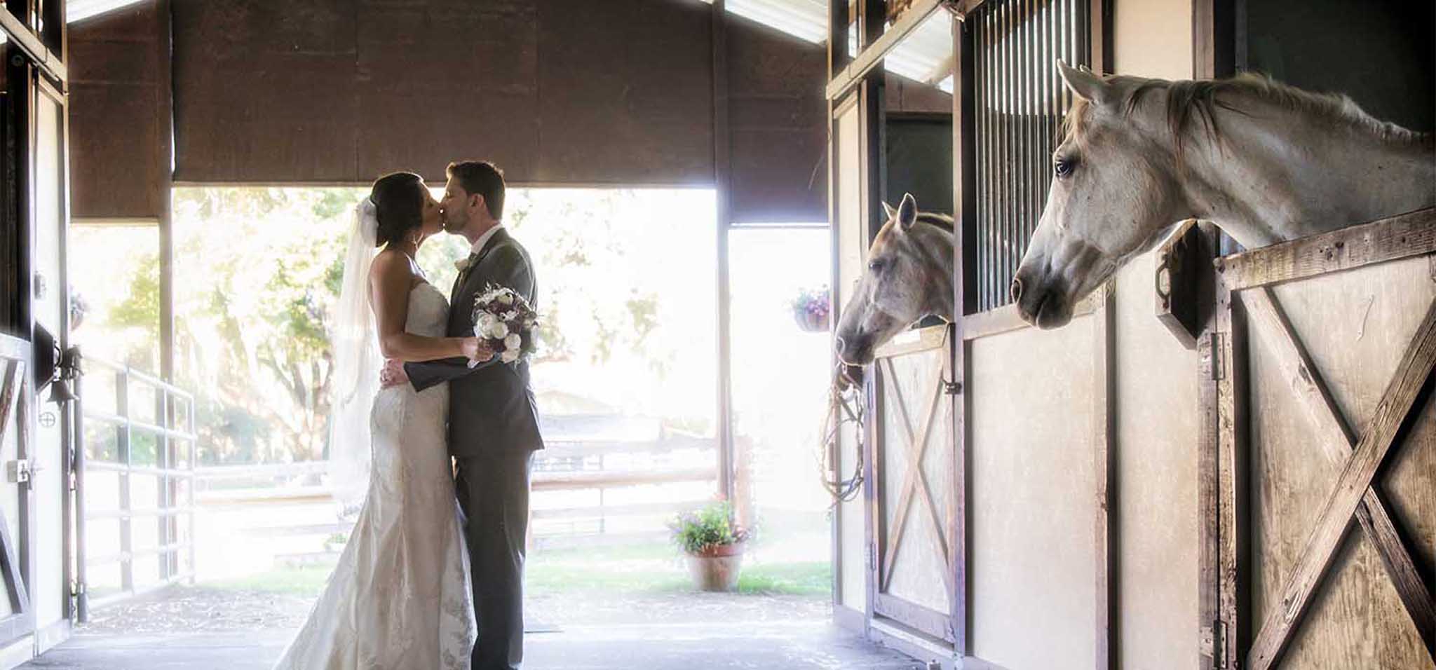 Wedding Photographer In Tampa