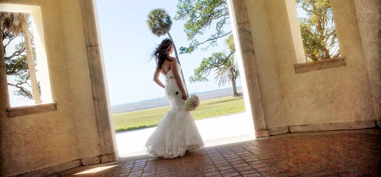 Wedding Photographer In Tampa